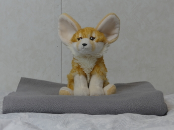 Unnamed 30 (Fennec Fox, Wild Republic)